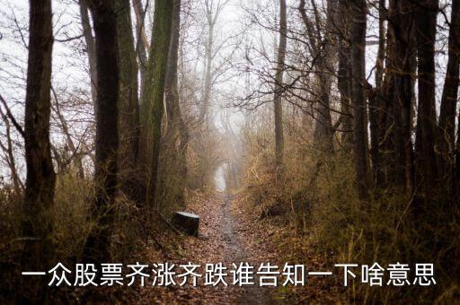 股票量價齊跌意味著什么，這幾天大盤量價齊跌從技術(shù)角度說明什么