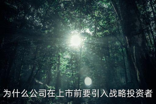 上市為什么要引入風(fēng)投，為什么公司在上市前要引入戰(zhàn)略投資者