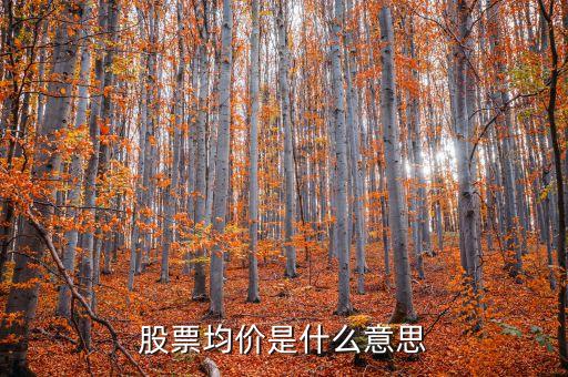 股票均價(jià)是什么意思，股票均價(jià)是什么意思