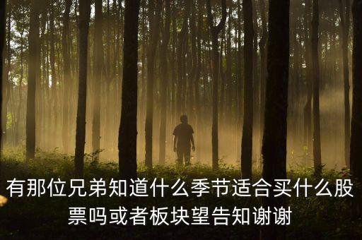 秋天什么股，秋季什么板塊股票好