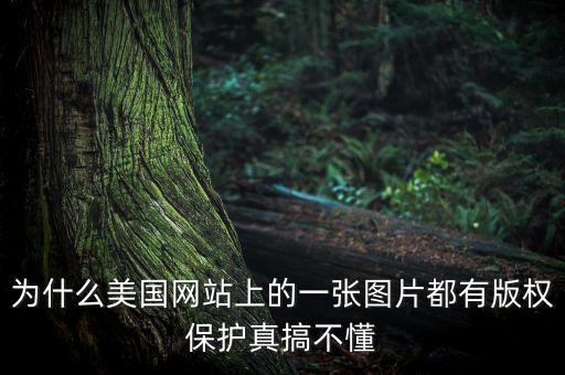 為什么國外重視版權(quán)，為什么美國網(wǎng)站上的一張圖片都有版權(quán)保護真搞不懂