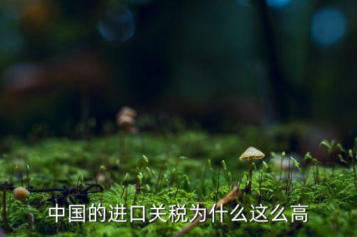 中國(guó)為什么高關(guān)稅，中國(guó)的進(jìn)口車(chē)輛關(guān)稅為什么這么高
