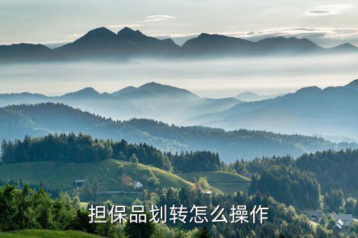 擔(dān)保品轉(zhuǎn)入是什么，融資融卷中的擔(dān)保品劃轉(zhuǎn)是什么意思