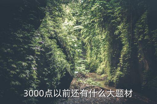 300073有什么題材，3000點(diǎn)以前還有什么大題材
