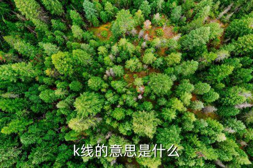 白執(zhí)帶k線是什么意思，現(xiàn)貨白銀日k線是什么意思