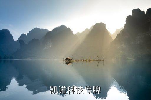 凱樂(lè)科技為什么停牌，002399今天為什么停牌