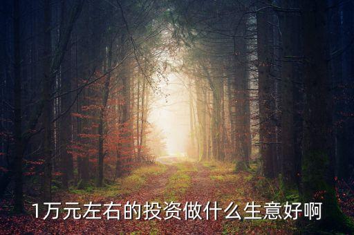 萬投資什么好，有10000元錢拿來做什么最好或者投資什么最好
