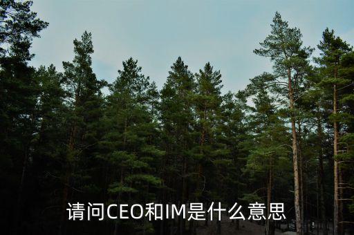 光大富尊IM是是什么，請問CEO和IM是什么意思