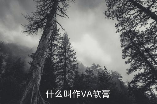 維生素va是什么，醫(yī)學(xué)va是什么意思