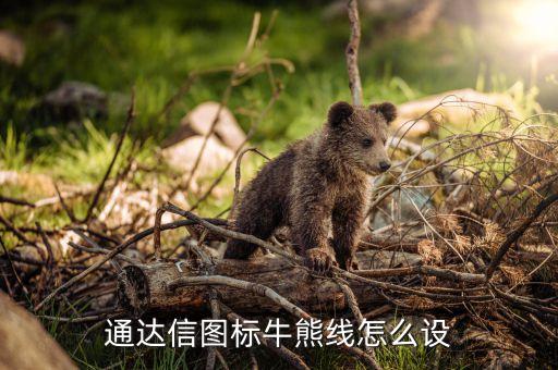 什么叫牛熊分界線，通達信圖標牛熊線怎么設