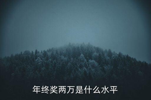 年終獎10000什么水平，月薪1700年終獎一萬算什么水平