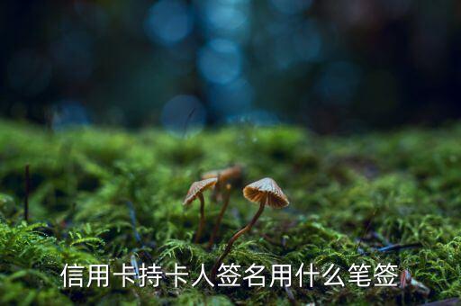 信用卡用什么筆簽名，信用卡持卡人簽名用什么筆簽