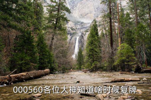 上工申貝什么時(shí)候復(fù)牌，請(qǐng)問上海建工什么時(shí)候復(fù)牌