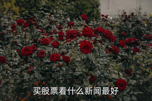 炒股看什么看什么財(cái)經(jīng)，有什么比較好的推薦股票的財(cái)經(jīng)節(jié)目