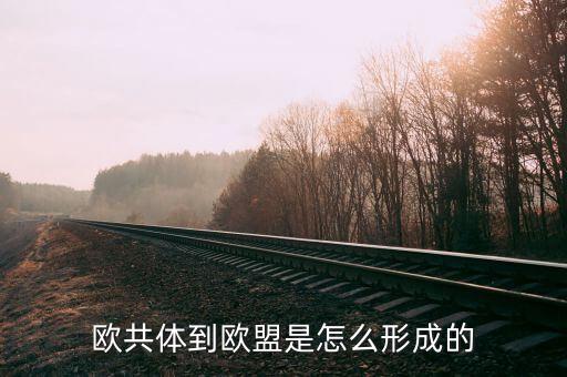 德國為什么加入歐盟，為什么有些國家像法國德國不愿意加入歐盟明明是對他們有利的  搜
