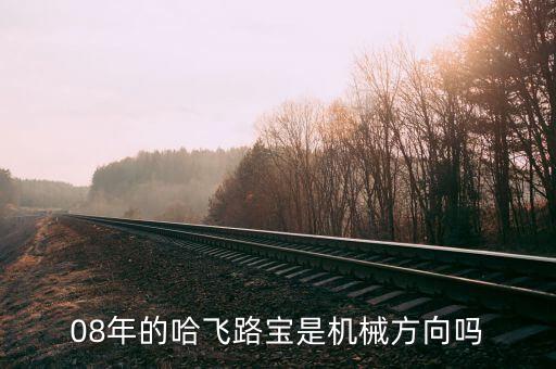 哈飛集團(tuán)用什么專業(yè)，08年的哈飛路寶是機(jī)械方向嗎