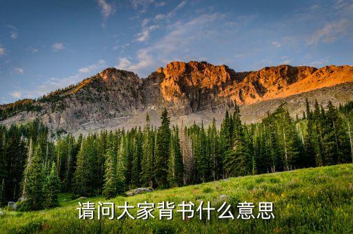 弱背書是什么意思，現(xiàn)在背書是什么意思是能背不能默還是