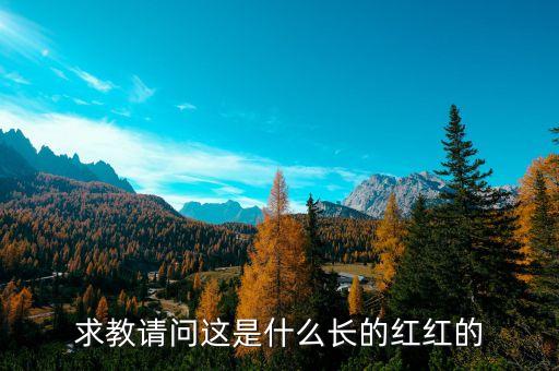 楊定平是什么的會長，誰知道華東交大大二的軟件工程部長也許叫會長是誰叫什么名字