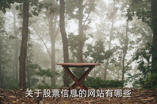 股票信息看什么網(wǎng)站，關(guān)于股票信息的網(wǎng)站有哪些