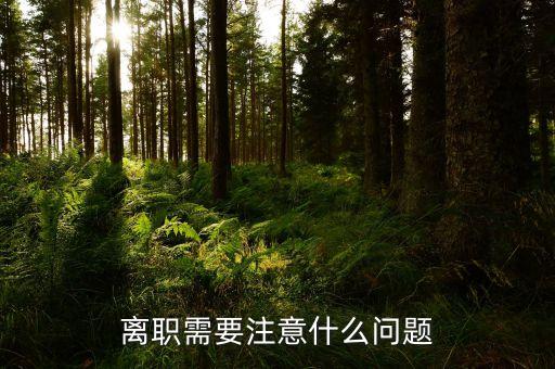 華北制藥辭職需要注意什么，辭職應該注意些什么呢