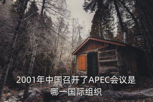 中國(guó)舉行合作論壇首次論壇是什么，論壇是什么