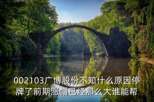 廣博股份什么時候復(fù)牌，002103廣博股份不知什么原因停牌了前期漲幅已經(jīng)那么大誰能幫