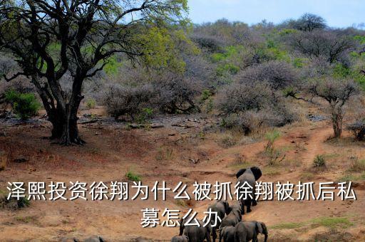 徐翔為什么會被抓，澤熙投資徐翔為什么被抓徐翔被抓后私募怎么辦