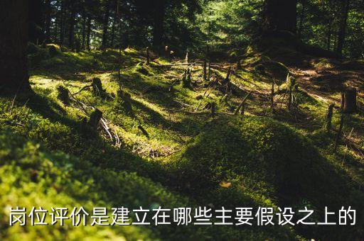 職位評(píng)價(jià)的假設(shè)前提是什么，崗位評(píng)價(jià)是建立在哪些主要假設(shè)之上的