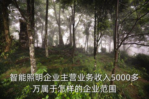 溫州宏豐主營什么，請問凈利率的公式計算是凈利潤主營業(yè)務(wù) 還是主營業(yè)務(wù)還加其他也