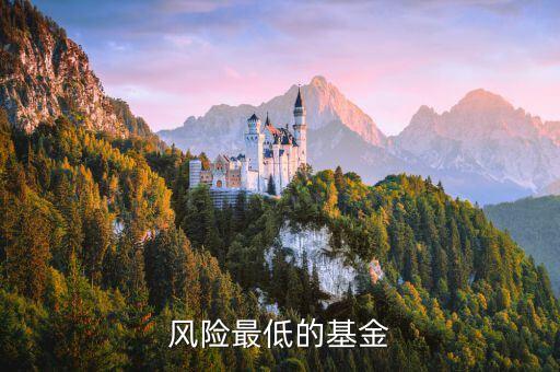 什么基金風險最低，風險最低的基金