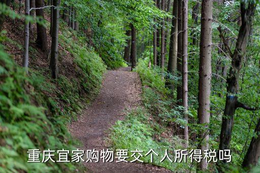 宜家買(mǎi)東西為什么收稅，重慶宜家購(gòu)物要交個(gè)人所得稅嗎
