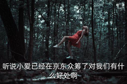 京東jimi機(jī)器人有什么作用，jimi 是什么意思