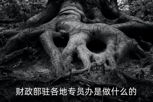 財專辦是什么，財政部駐各地專員辦是做什么的