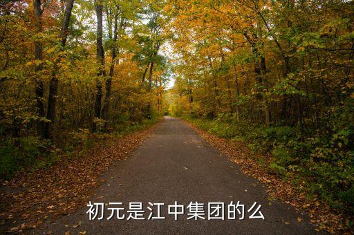 江中集團(tuán)有什么保健品，初元是江中集團(tuán)的么