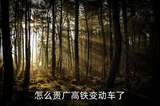 高鐵什么時(shí)候變動(dòng)車，怎么貴廣高鐵變動(dòng)車了