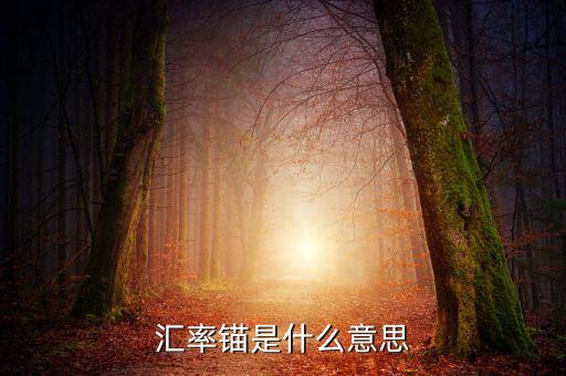 什么是利率錨，利率錨是什么意思 在線等