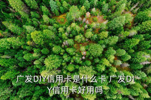 什么是diy信用卡，廣發(fā)DIY信用卡是什么卡 廣發(fā)DIY信用卡好用嗎