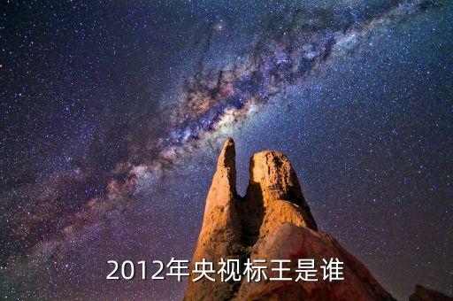 cctv標(biāo)王是什么，央視廣告今年的標(biāo)王是哪個(gè)