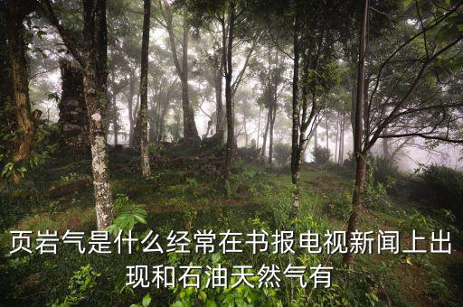 頁巖氣和天然氣有什么不同，頁巖氣與煤層氣的區(qū)別