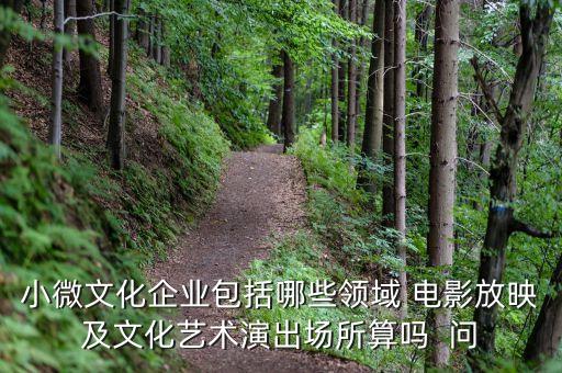 小微文化企業(yè)具體指什么，小微文化企業(yè)包括哪些領(lǐng)域 電影放映及文化藝術(shù)演出場(chǎng)所算嗎  問(wèn)