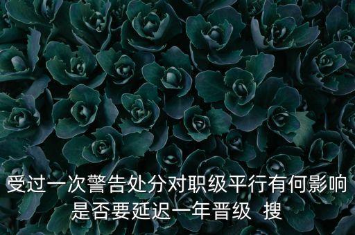 銀行警告處分有什么影響，受過一次警告處分對職級平行有何影響是否要延遲一年晉級  搜