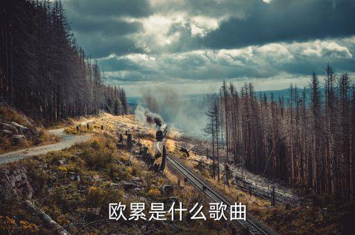 歐累歐累歐累是什么dj，溜冰場(chǎng)歐累歐累歐累是什么歌