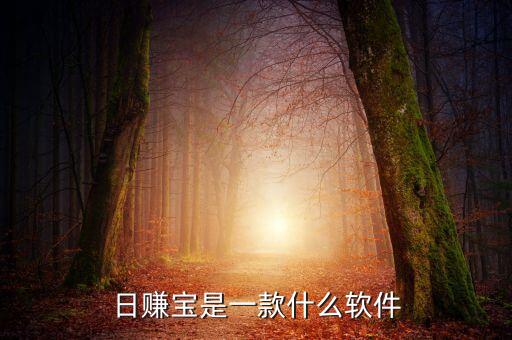 日溢寶是什么，誰用過大王卡那個日租寶是什么意思如果有月流量套餐日租寶還