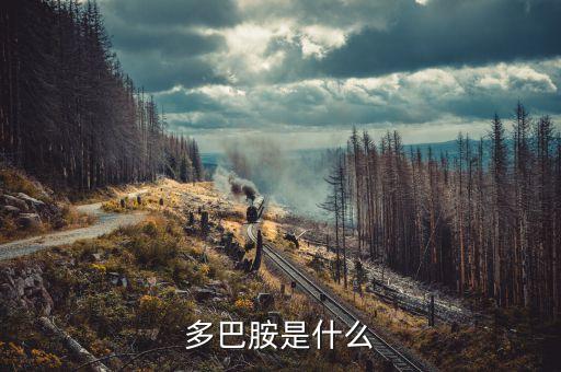 云藥是什么，rarely是什么意思