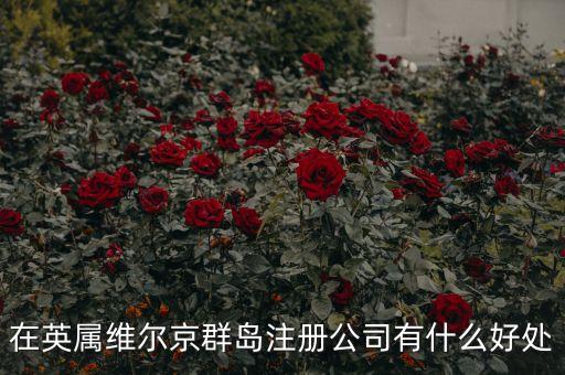 在英屬維爾京群島設(shè)立子公司有什么好處，設(shè)立子公司的好處有哪些