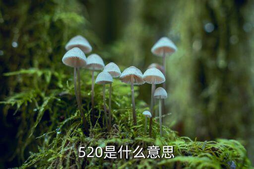 什么是1浪5，江恩數(shù)浪法則如何劃分五浪