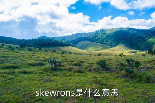 skewrons是什么品牌，伯思凱是什么牌子