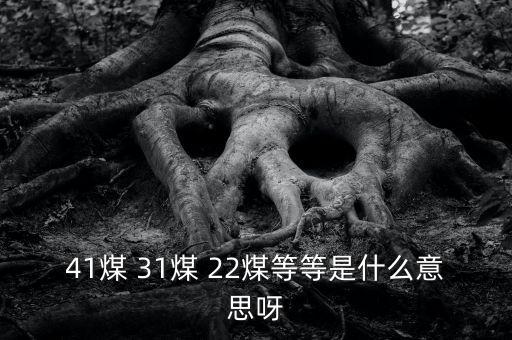什么叫三二煤，2煤3煤什么意思