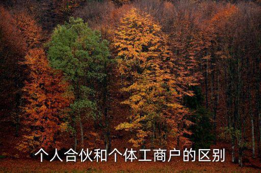個(gè)人合伙領(lǐng)取什么經(jīng)營(yíng)執(zhí)照，個(gè)人合伙辦理個(gè)體工商戶執(zhí)照