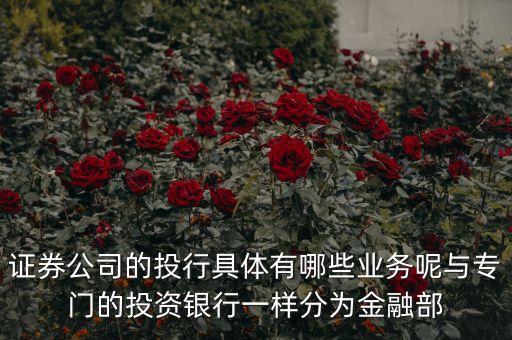 國(guó)內(nèi)券商投行部在做什么，國(guó)有四大行的投行部在做什么